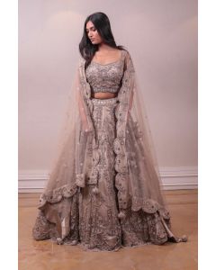 Designer Net Embedded Lehenga